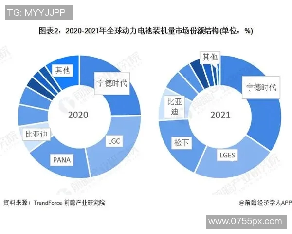 八一双鹿电池在国际市场的崛起与美国竞争的全景分析