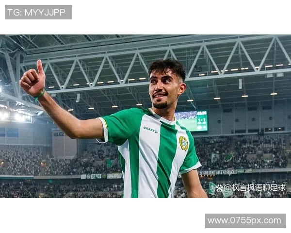 哈马比与天狼星激战正酣球迷期待精彩对决与进球盛宴