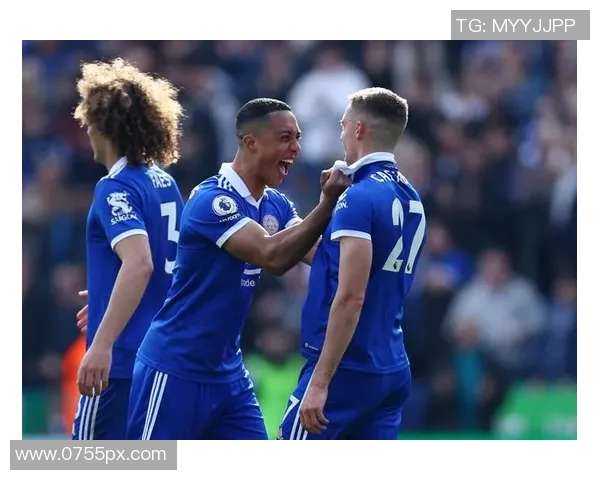 莱斯特城与埃弗顿精彩对决全场录像回放及精彩瞬间解析